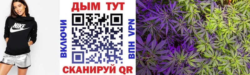 Магазины продажи наркотиков Высоцк Марихуана Мефедрон Alpha-PVP Героин кракен tor Гашиш