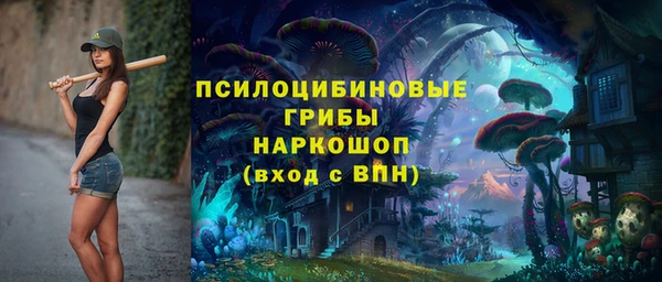 mix Белокуриха